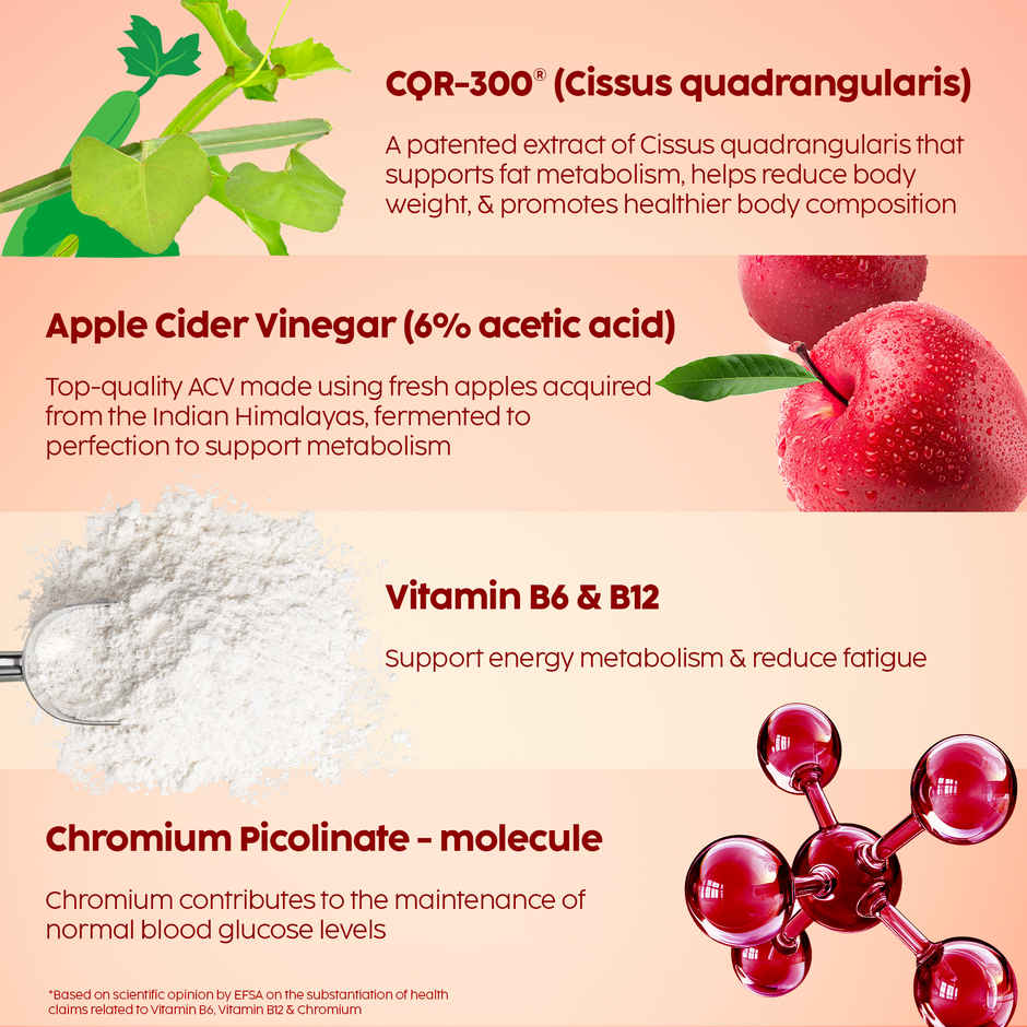 Plix The Plant Fix ACV CQR Plus Effervescent Clinically Studied CQR 300 ACV Fat Metabolism Support