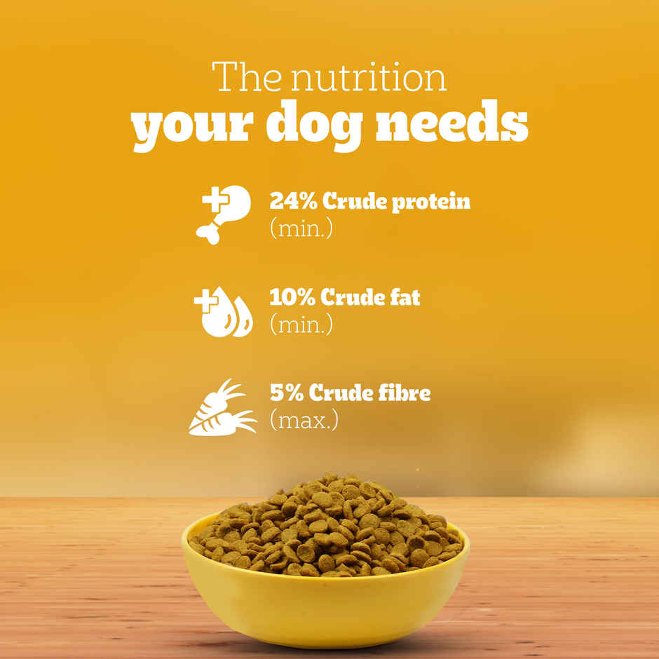 Pedigree Adult & Puppy Dry Dog Food | 100% Vegetarian
