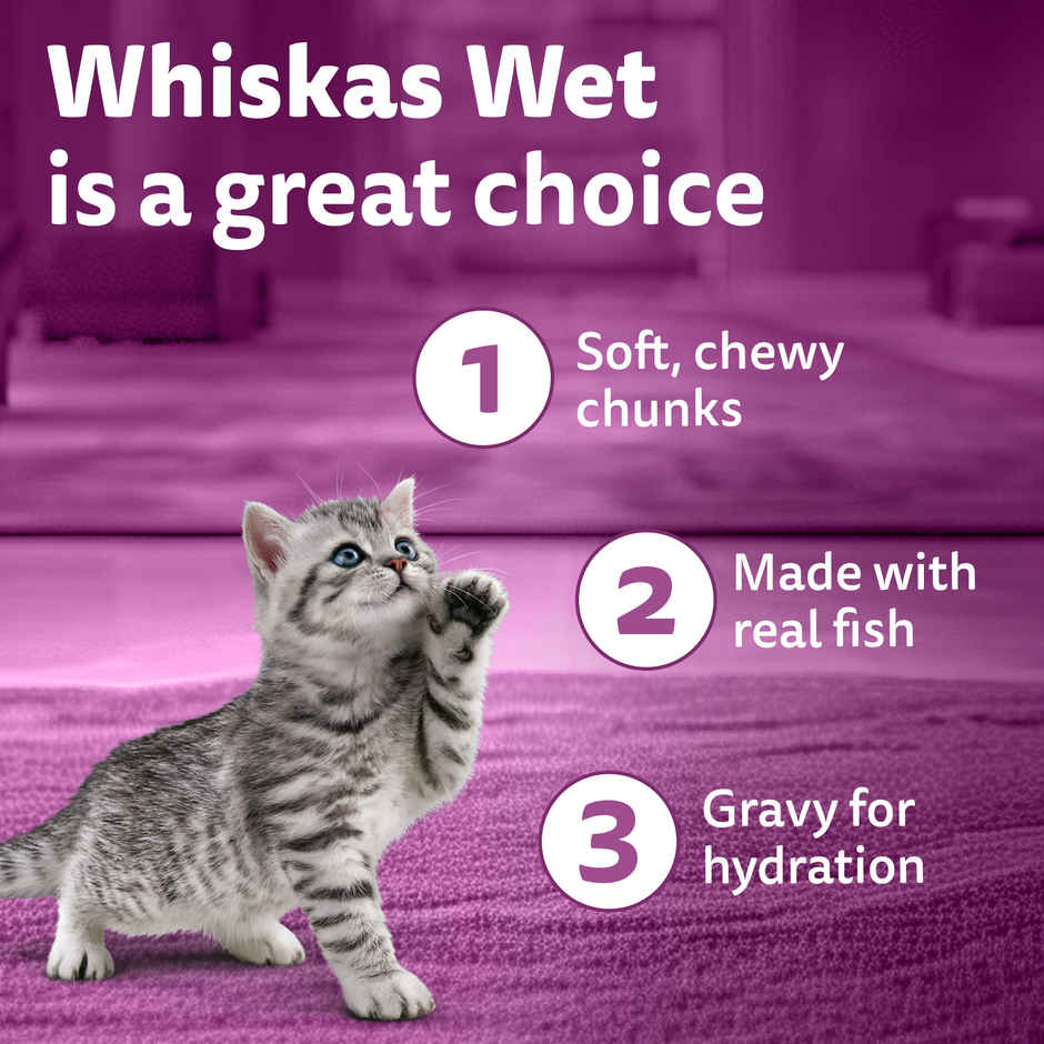 Whiskas Junior Tuna in Jelly Wet Cat Food Combo