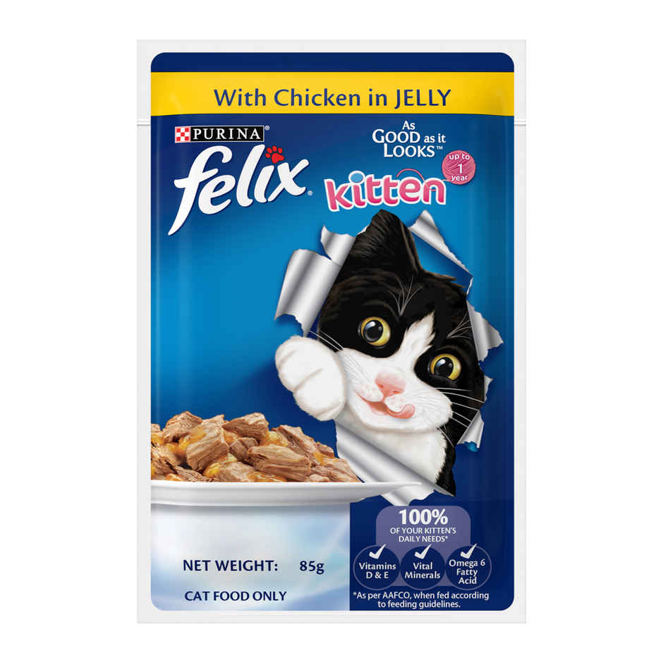 Felix Chicken Jelly Wet Cat Food Kitten | Complete & Balanced