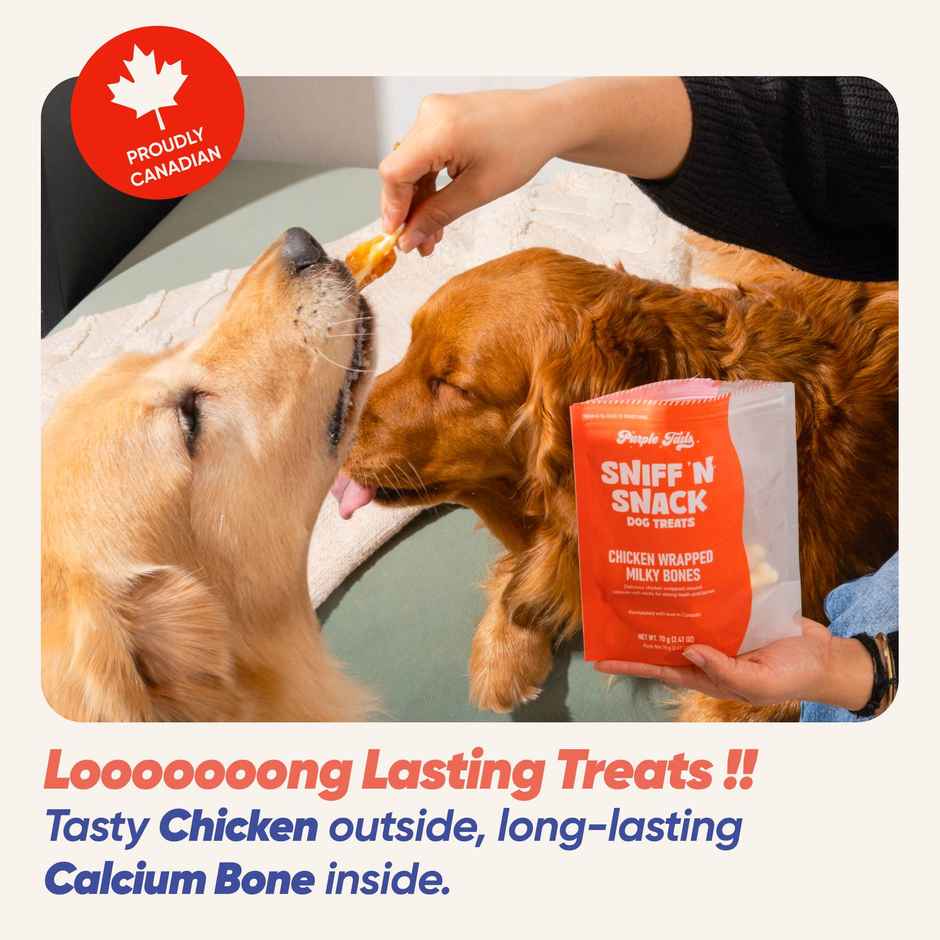 Purple Tails Chicken Wrapped Milky Bones Dog Treat