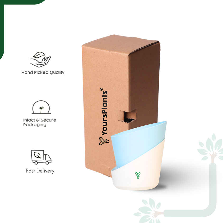 Yoursplants Atlantis - 4 Inch Pastel Blue Pot | Pack Of 1