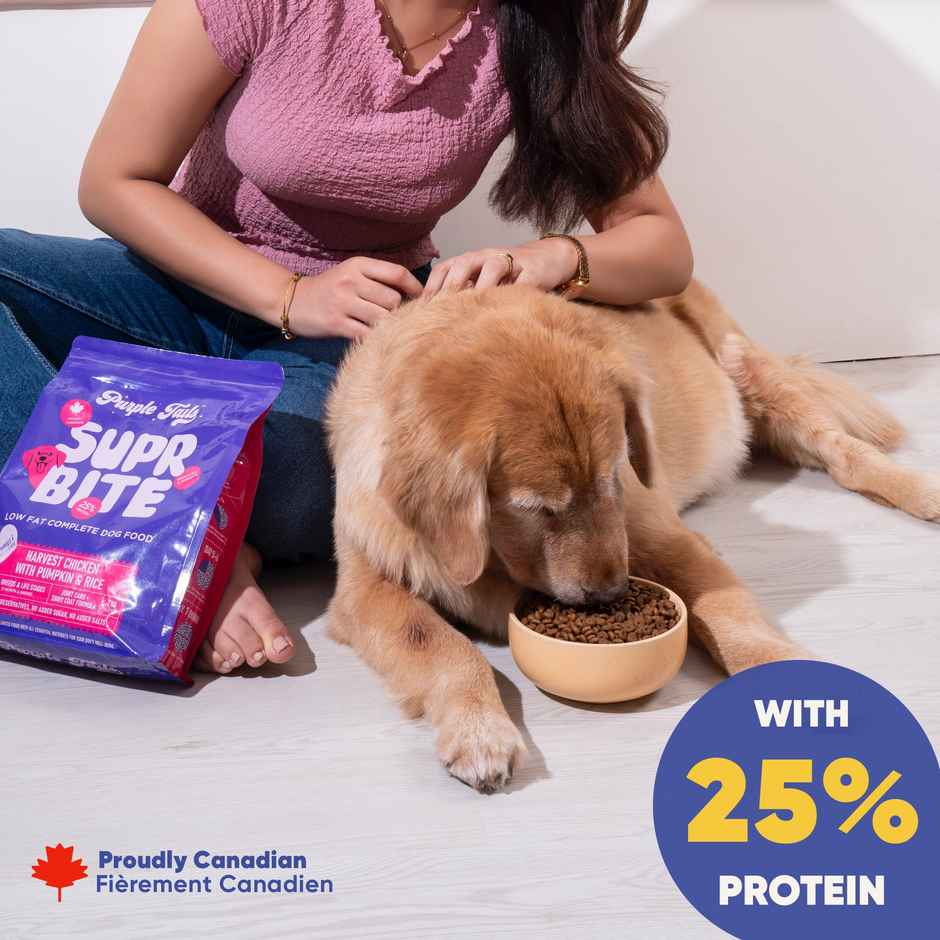 Purple Tails High Protein Dry Dog Food | Adult & Puppy