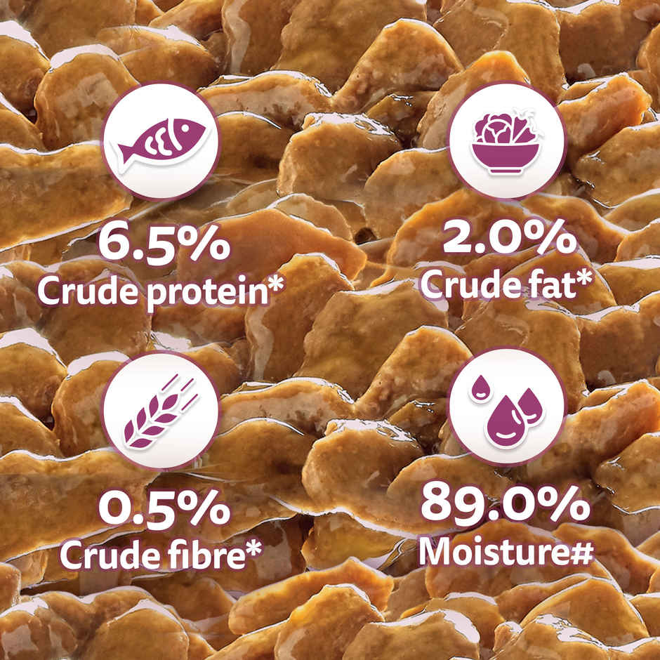 Whiskas Junior Chicken in Gravy Wet Cat Food Combo