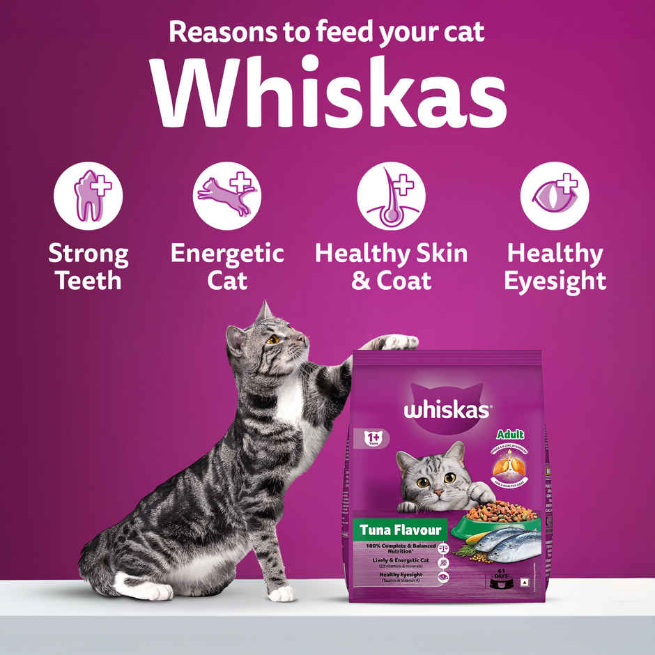 Whiskas Adult Tuna Flavour Dry Cat Food