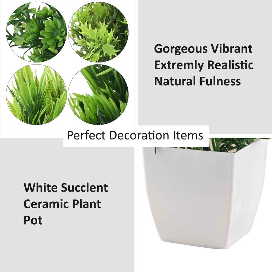 Kuber Industries 8 Pcs Set Plastic Mini Artificial Plants with Pot | Deko Square - White
