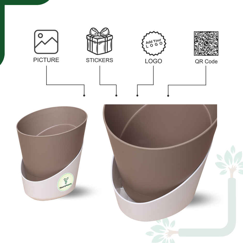 Yoursplants Atlantis - 4 Inch Mocca Pot | Pack Of 2