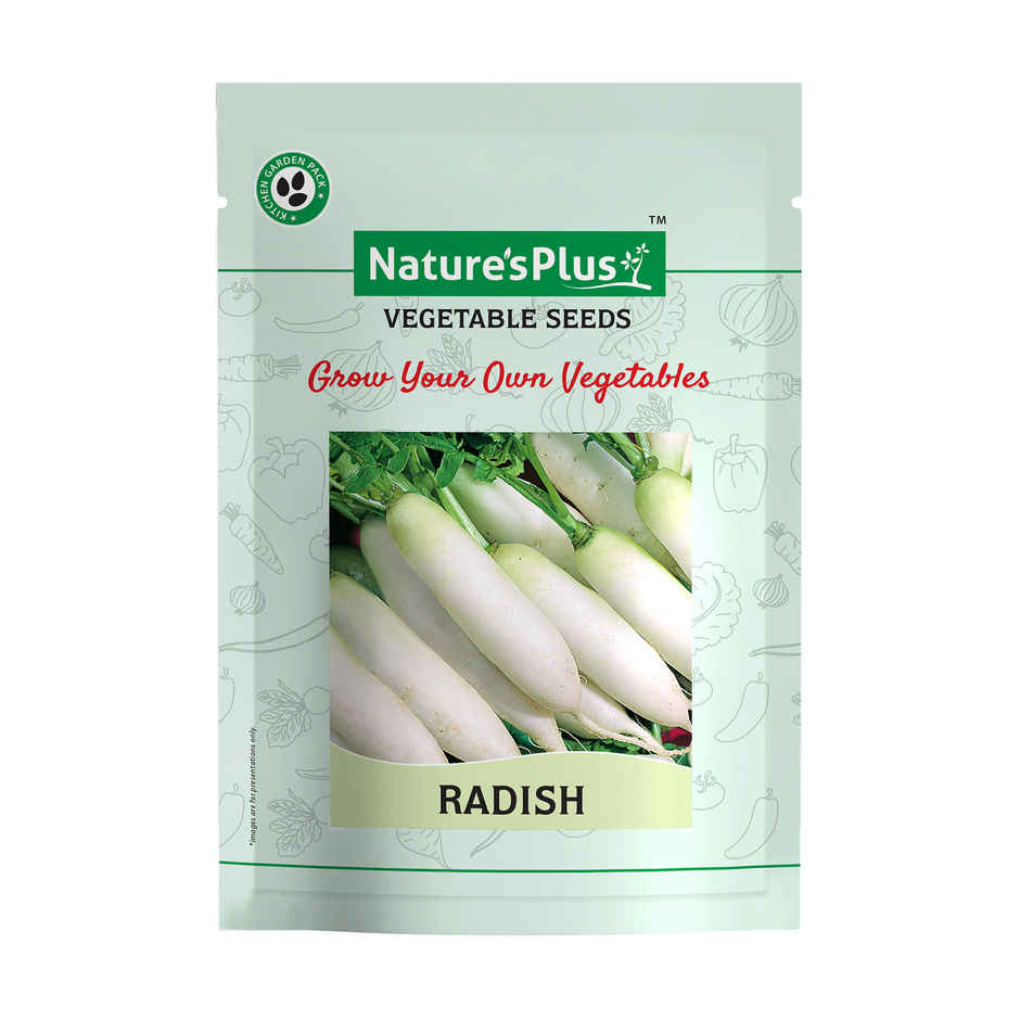 Natures Plus Radish White - Seeds