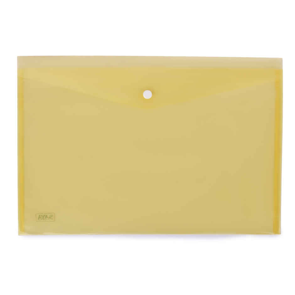 Saya Designer Clear Bag | Elegant and Durable Document Organizer with a Sleek Design | Assorted