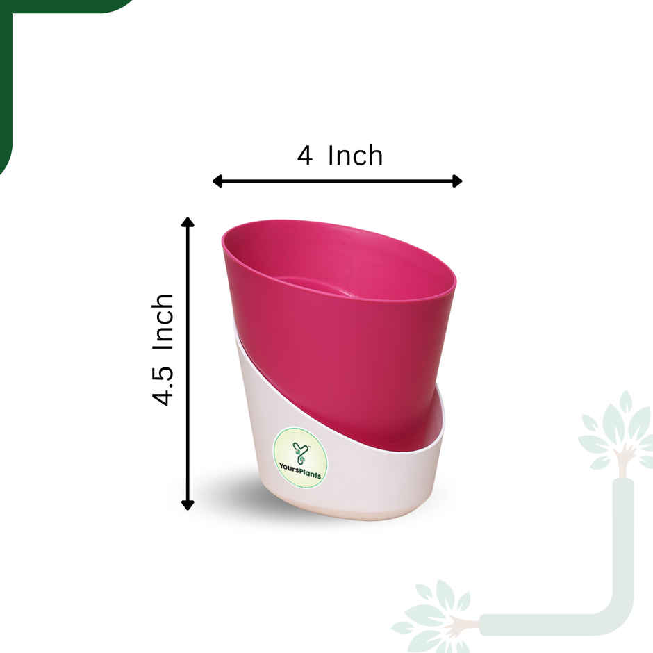 Yoursplants Atlantis - 4 Inch Pink Pot | Pack Of 1
