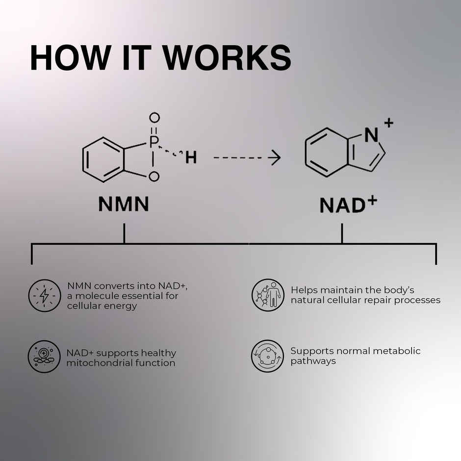 OYB NMN Anti-Aging Tablets with Nicotinamide Mononucleotide for NAD+ Boost | 30 Tablets | OYB NMN