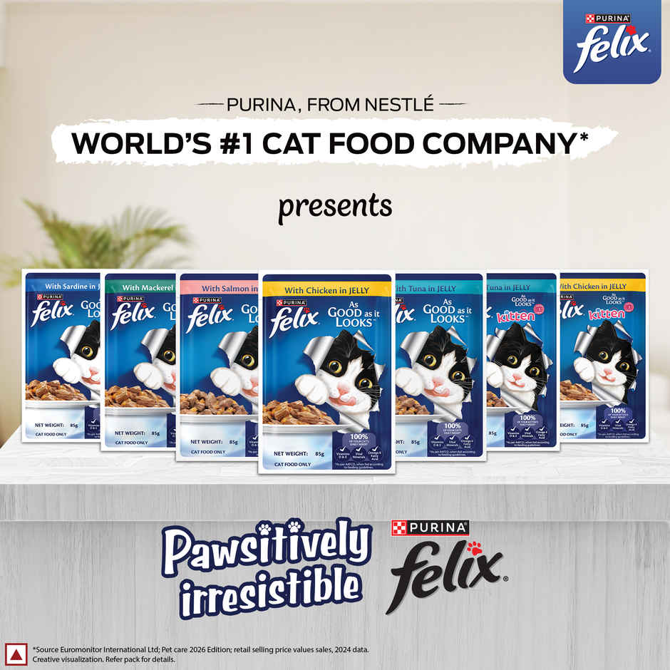 Felix Chicken Jelly Wet Cat Food Kitten | Complete & Balanced