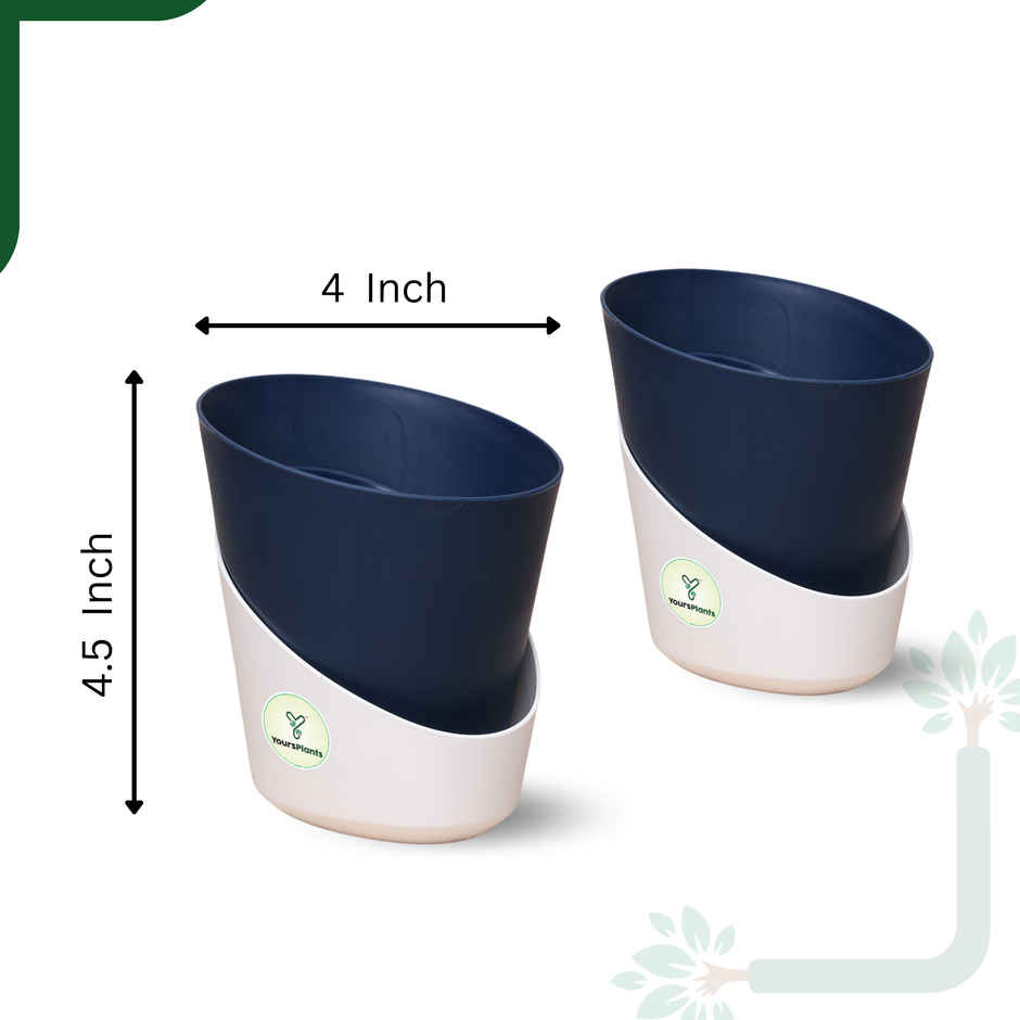 Yoursplants Atlantis - 4 Inch - Navy Blue Pot | Pack Of 2