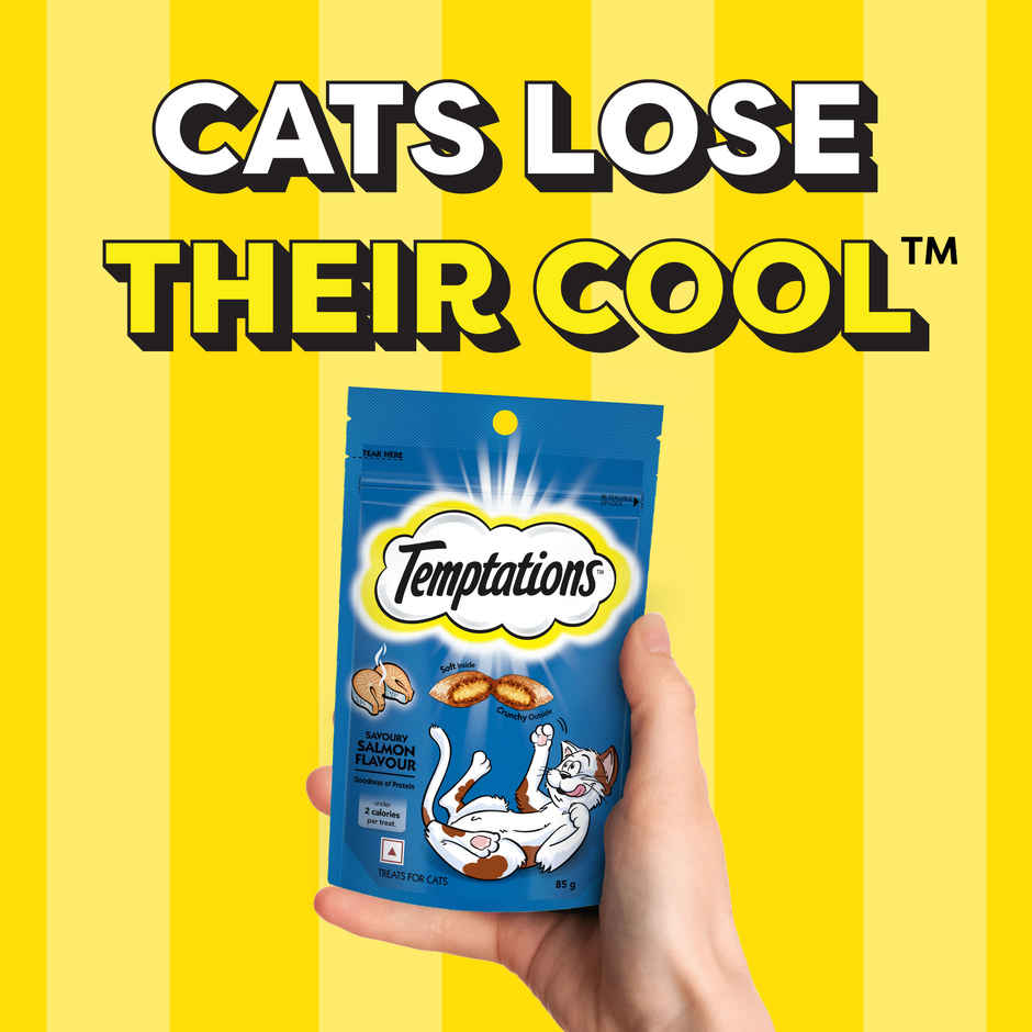 Temptations Adult Savoury Salmon Flavour Cat Treats