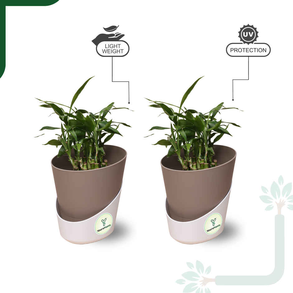 Yoursplants Atlantis - 4 Inch Mocca Pot | Pack Of 2