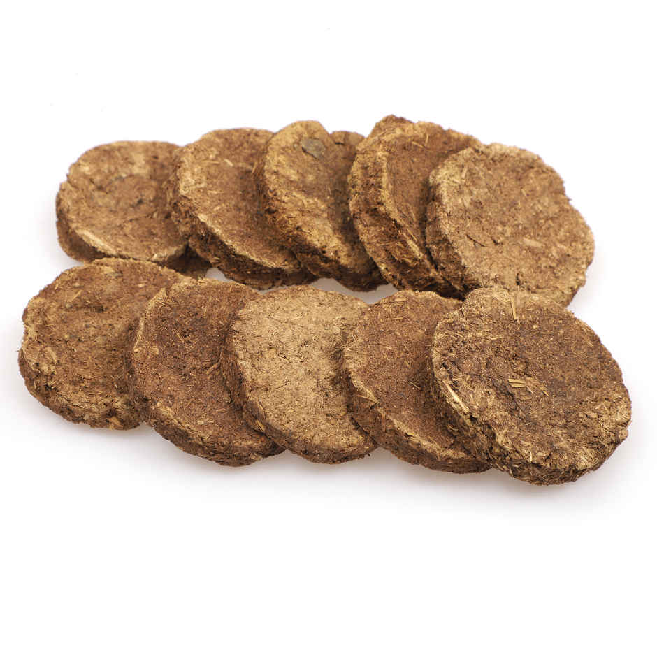 Cow Dung Cake | Pack of 10 | Mangal Bhawan