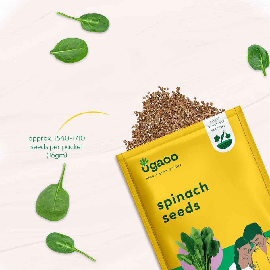 Ugaoo Spinach Seeds (Palak)