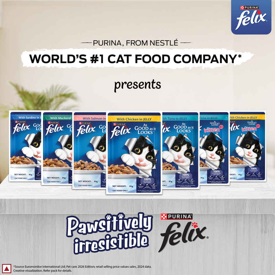 Purina Felix with Salmon in Jelly | Wet Food for Adults | Complete and Balanced Adult Food