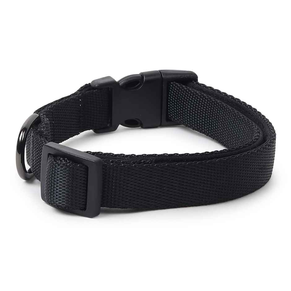 Zigly Padded Dog Collar | Suitable for Adult Dogs & Medium Breeds | Black - M