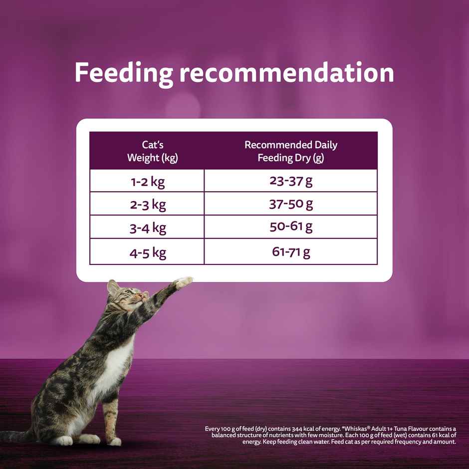 Whiskas Adult Chicken Flavour Dry Cat Food Combo