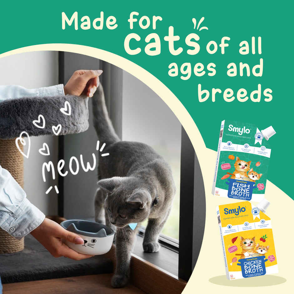 Smylo Homestyle Fish Bone Broth for Cats Hydrating Food Topper for Shiny Coat Strong Joints All Ages