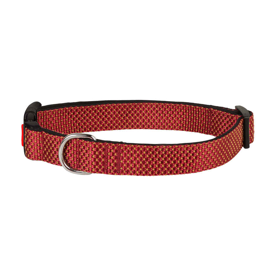 BearHugs Essential Collar | Padded with Lock - Large