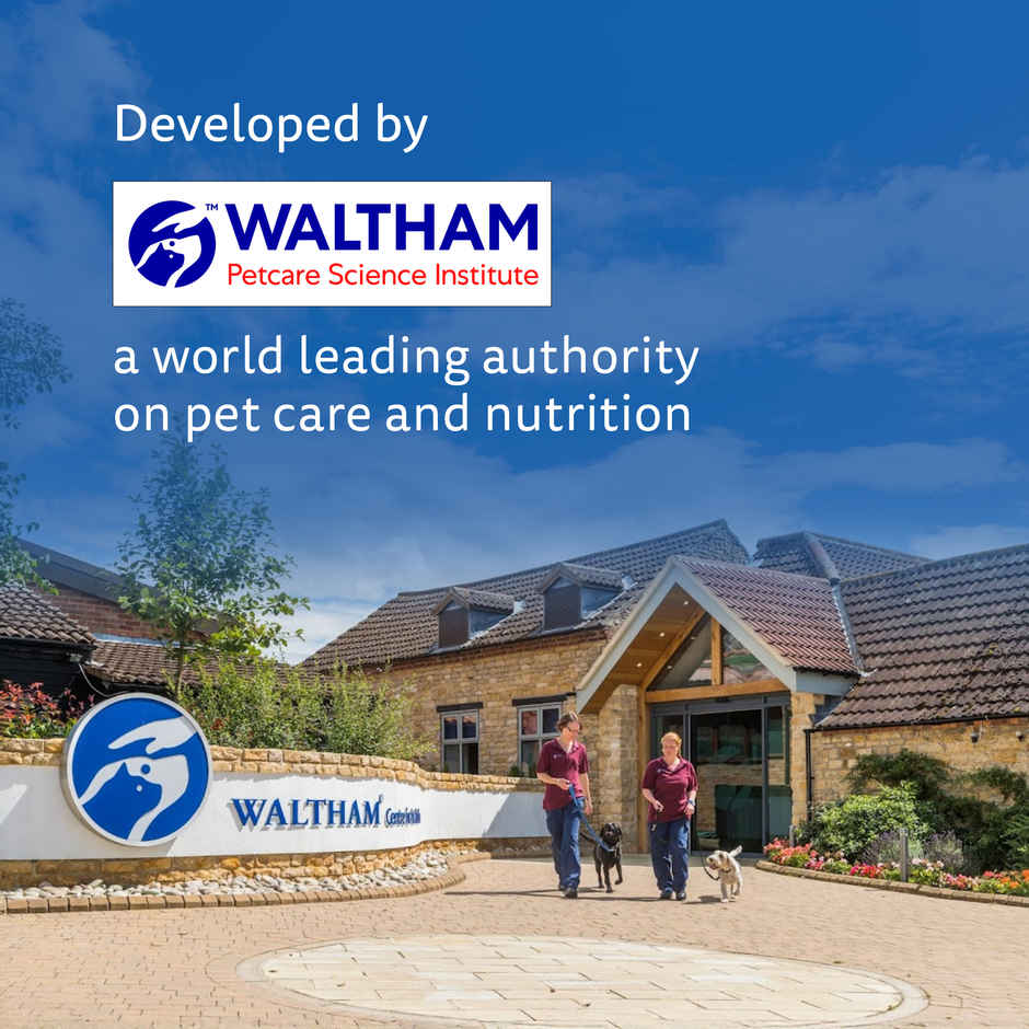 Chappi Puppy Chicken & Milk Dry Dog Food