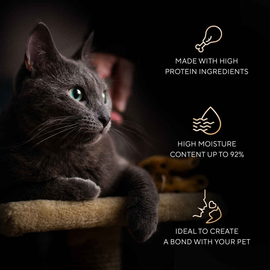 Sheba Melty Spoons Creamy Chicken & Chicken Shreds