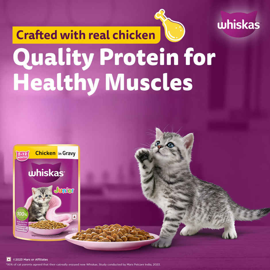 Whiskas Junior Chicken in Gravy Wet Cat Food Combo