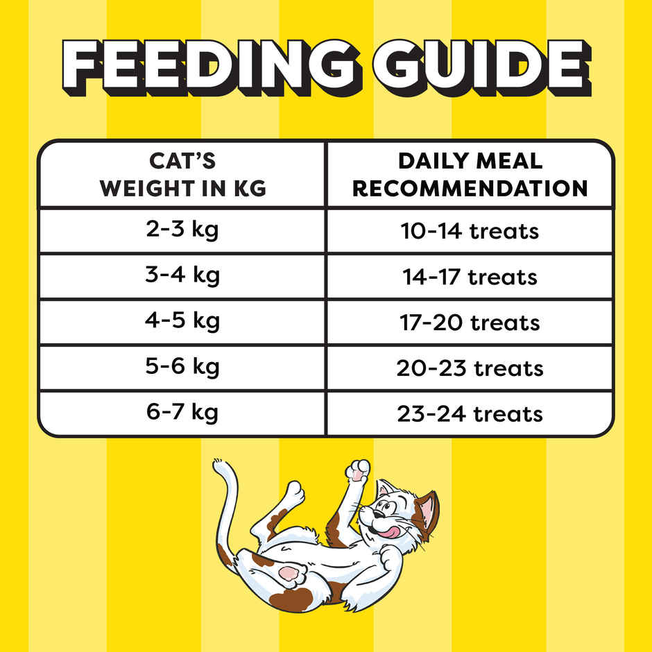 Temptations Adult Tasty Chicken Flavour Cat Treats