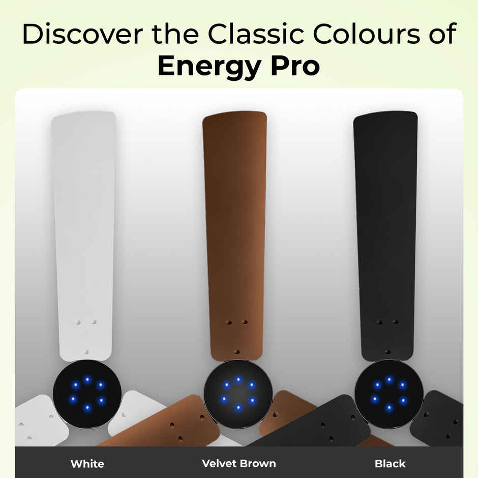 RR Signature BrightAir BLDC Ceiling Fan,1200mm,Remote Control,BEE 5 Star,LED Indicator,Velvet Brown