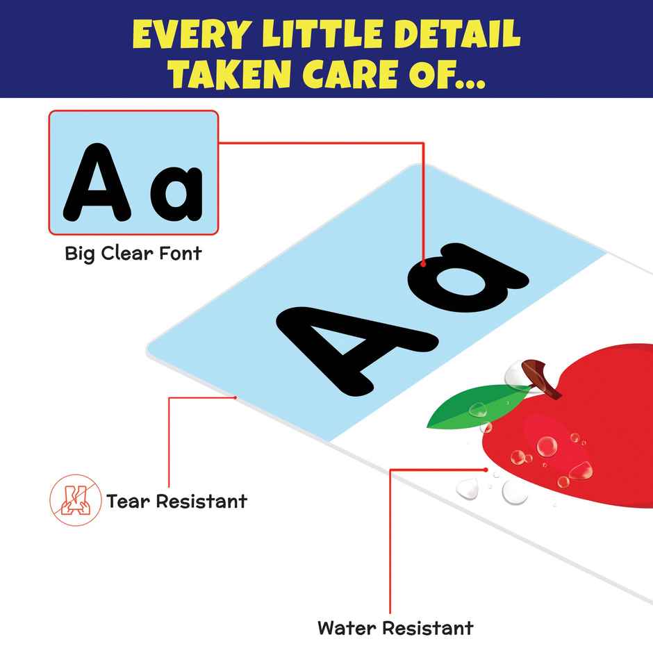 Little Berry Alphabet Write & Wipe Jumbo Flash Card Marker Pen Kids 2+ Years-32 Reusable Cards-Lb11
