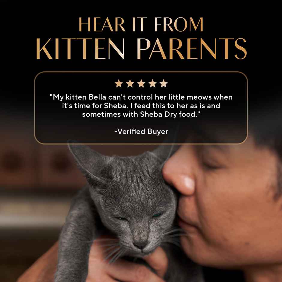 Sheba Fine Kitten Chicken Premium Loaf Wet Cat Food