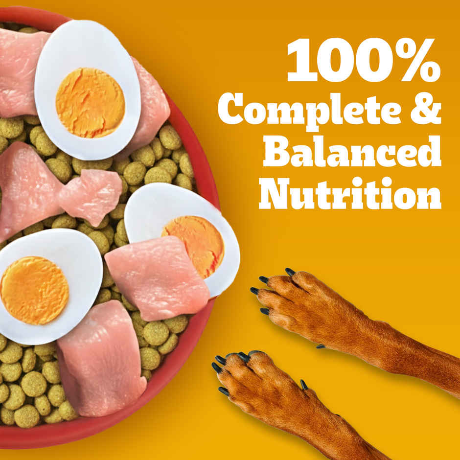 Pedigree Adult Chicken, Egg & Rice Dry Dog Food