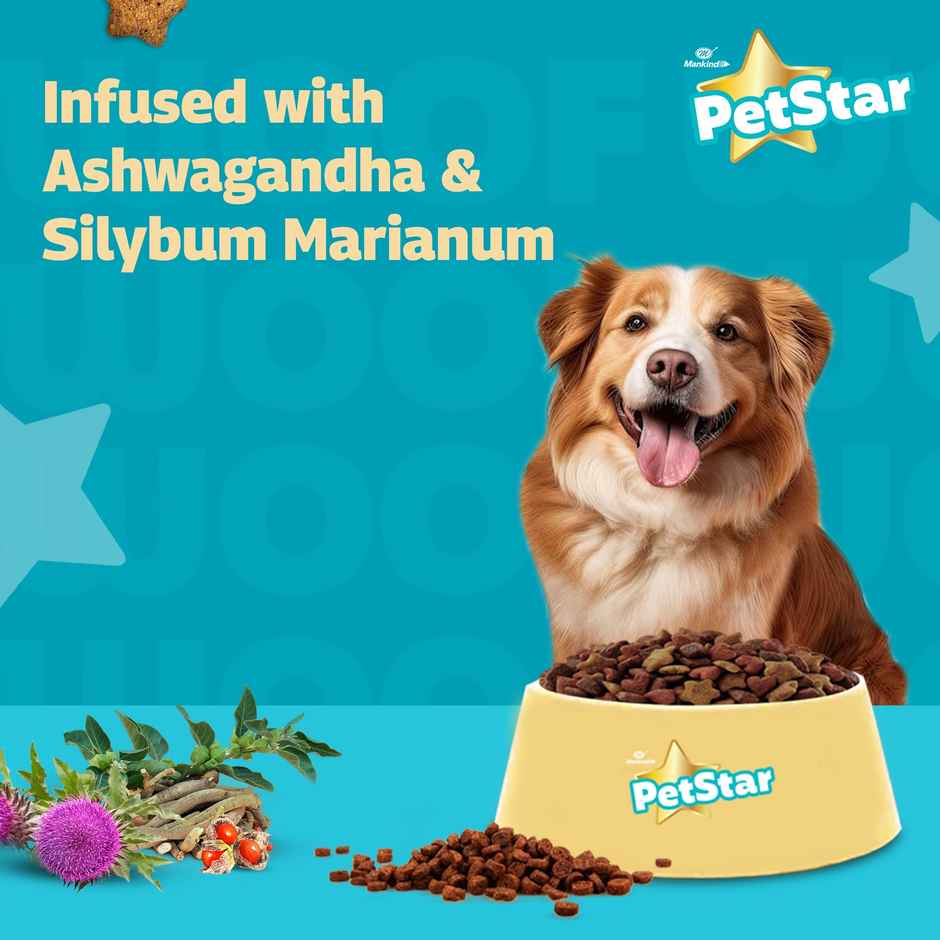 Petstar Adult Dry Dog FOOD | Chicken Flavour - Power Of 20+ Ingredients