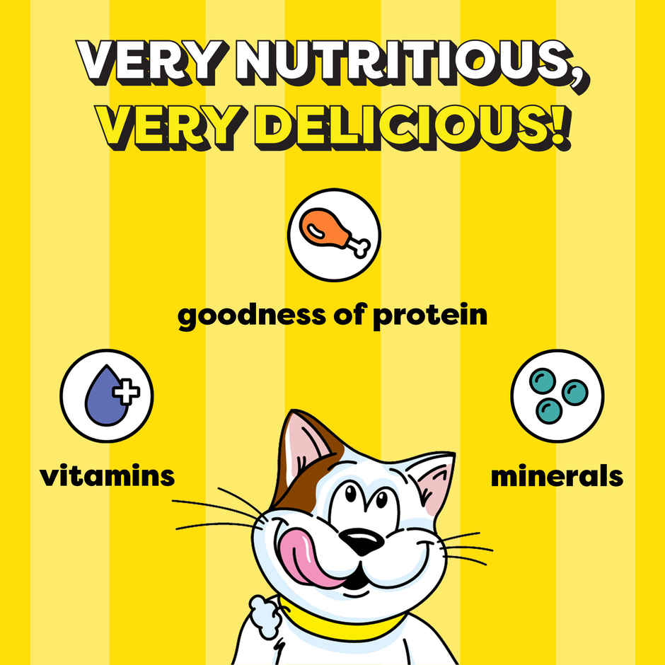 Temptations Adult Tasty Chicken Flavour Cat Treats Combo