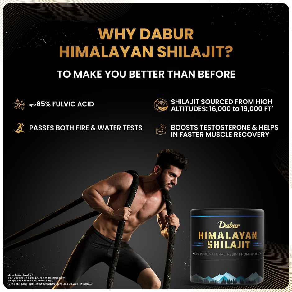 Dabur Himalayan Shilajit Resin | Natural Health Support
