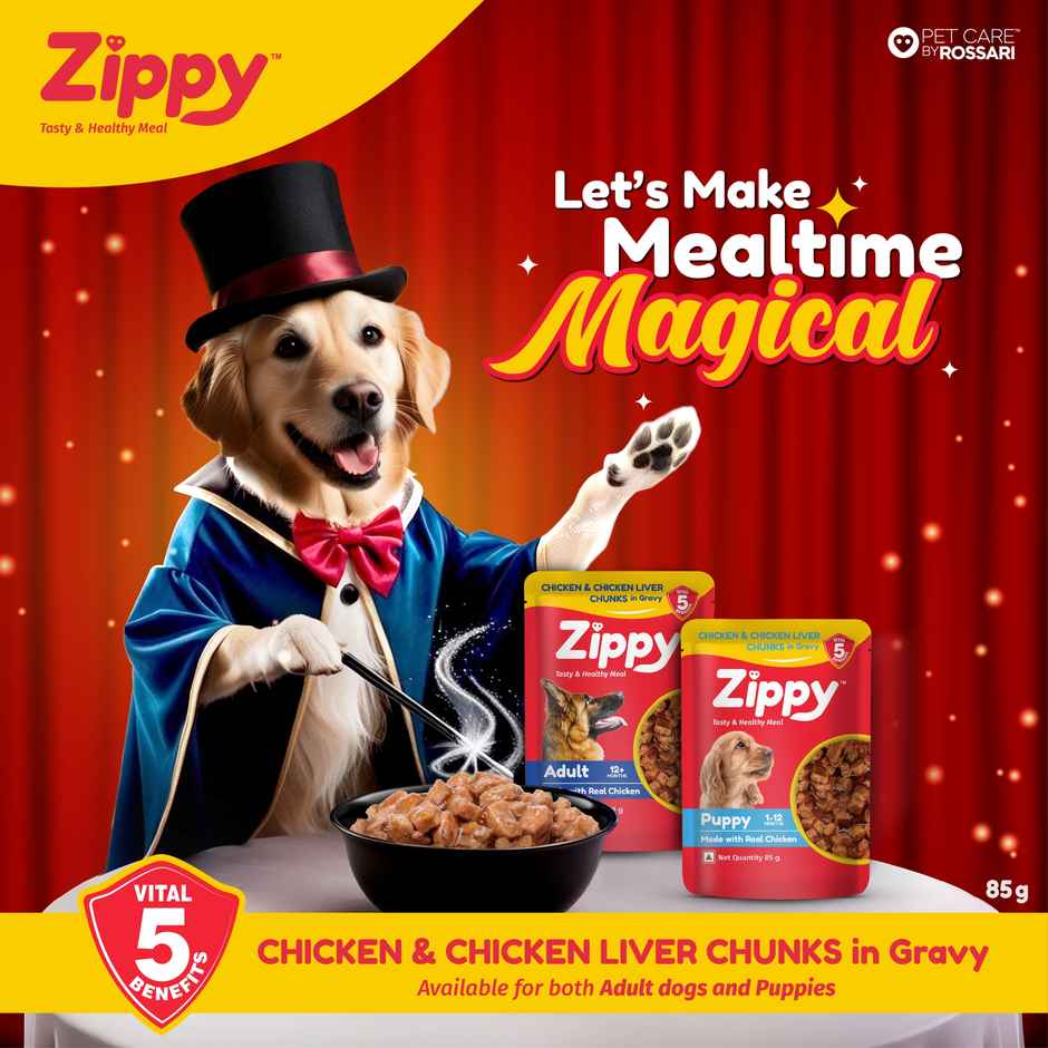 ZIPPY Puppy Dog Food 1 to 12 Months Chicken and Liver Chunks in Gravy