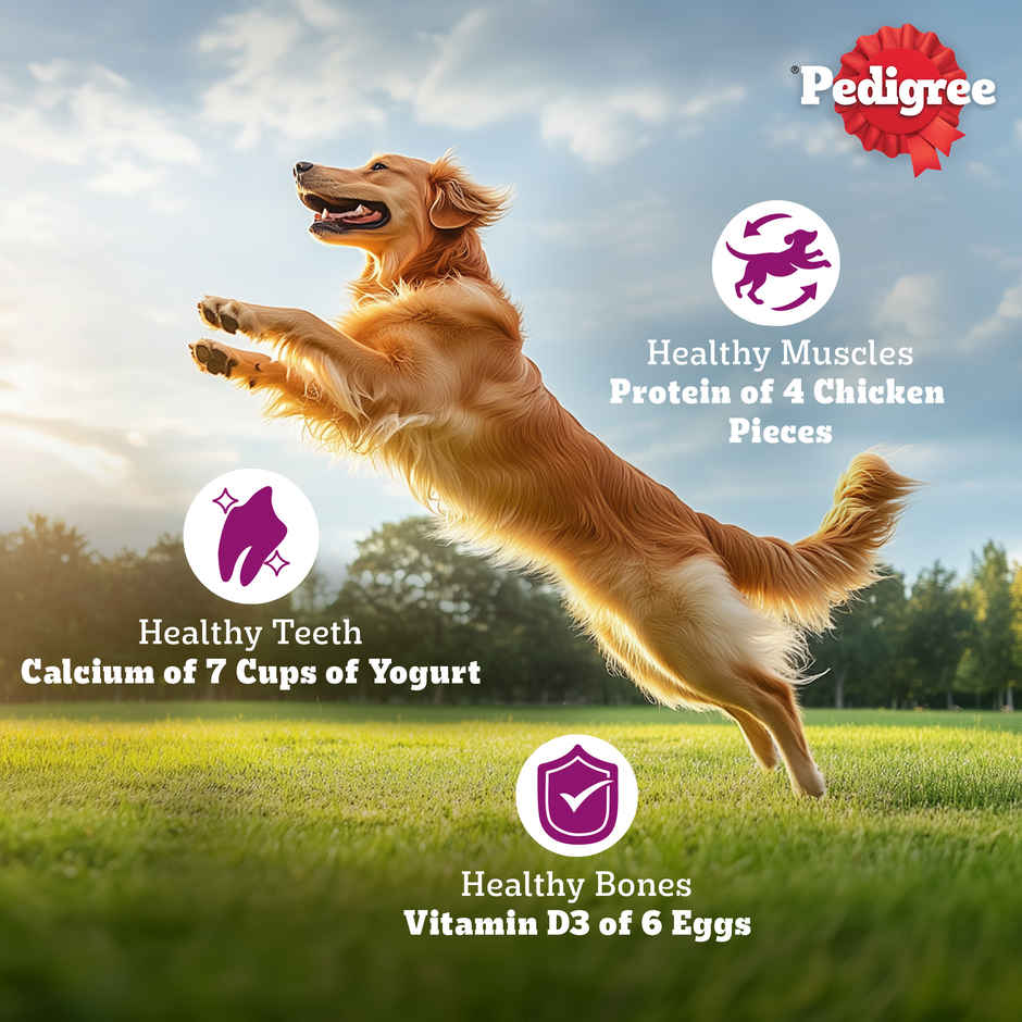 Pedigree Adult Dry Dog Food, New Chicken Biryani Flavour