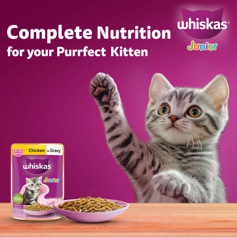Whiskas Junior Chicken in Gravy Wet Cat Food