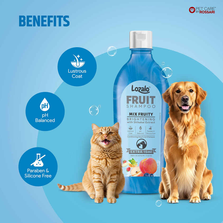 Lozalo Fruit Pet Shampoo Mix Fruit pH Balanced Paraben Free for Dogs and Cats