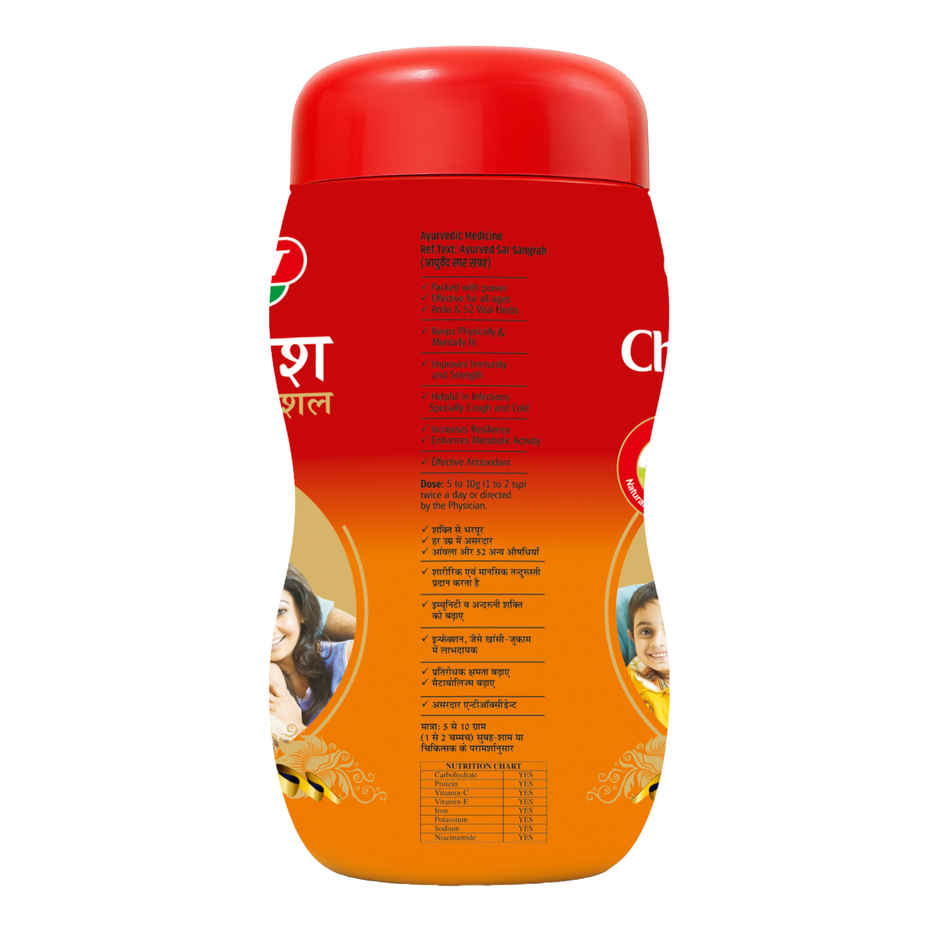 Baidyanath Chyawanprash Special 500g