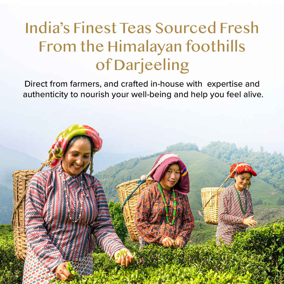 Vahdam Honey Lemon Green Tea with Ashwagandha