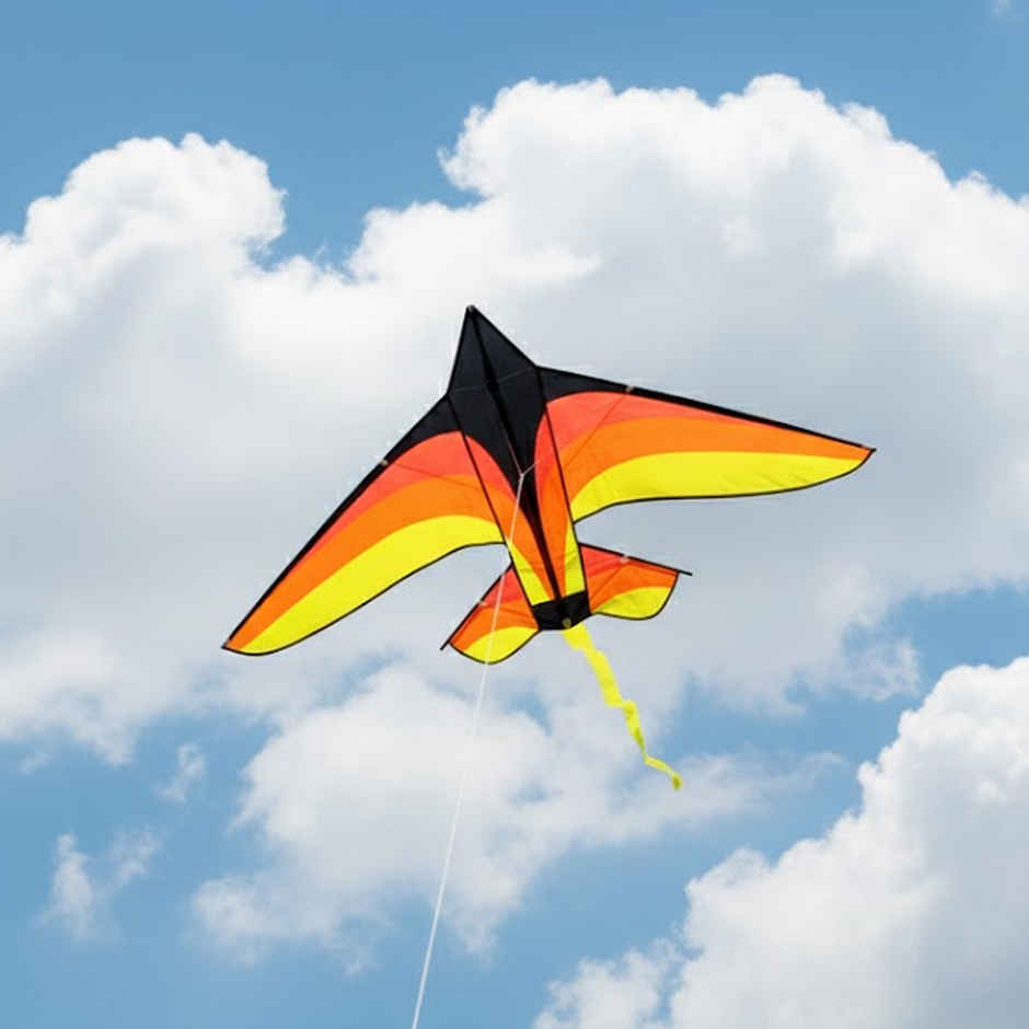 Premium Rocket Plastic Kite | Color and Design May Vary | Patang | Special You