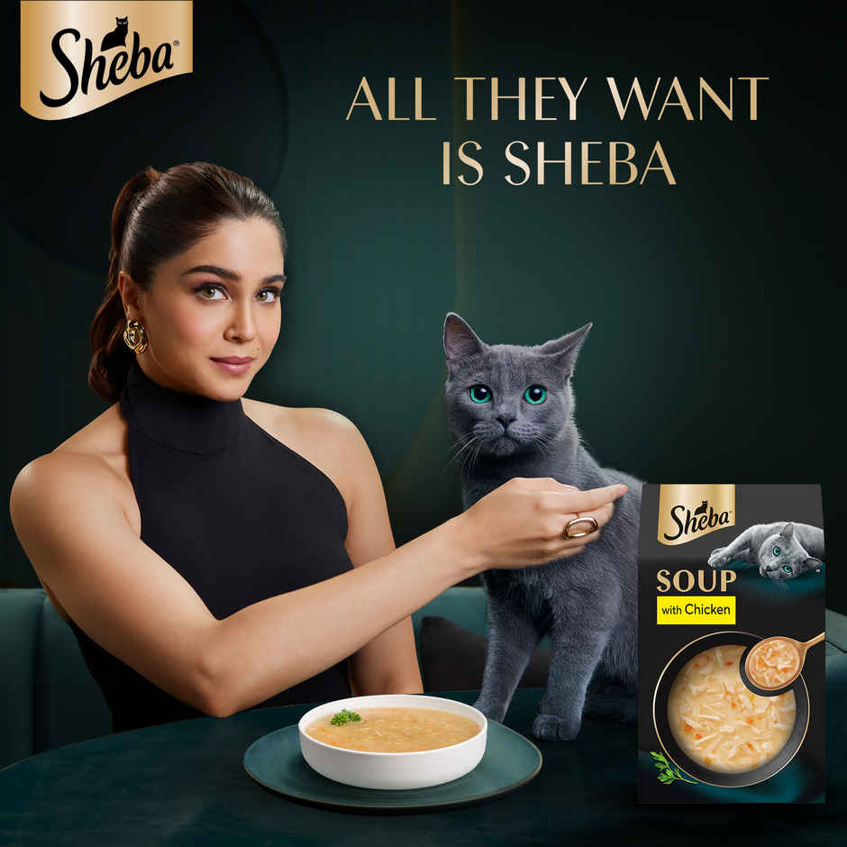 Sheba Soup With Chicken Premium Adult Wet Cat Food Pouches | Tender & Tasty Delight