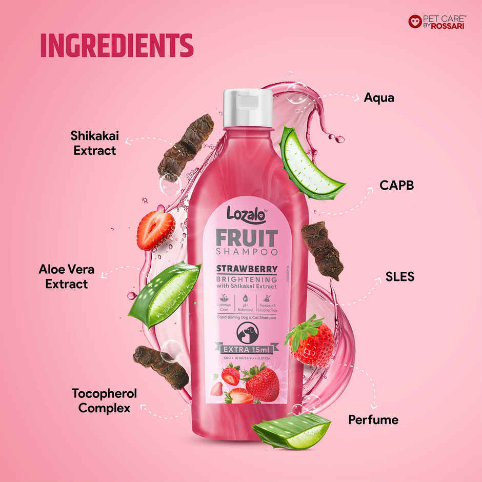 Lozalo Fruit Pet Shampoo Strawberry pH Balanced Paraben Free for Dogs and Cats