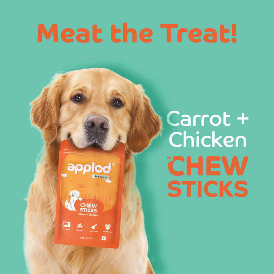 Applod Carrot & Chicken Chew Sticks Dog Treat | For Puppy & Adult | Suitable for all breeds