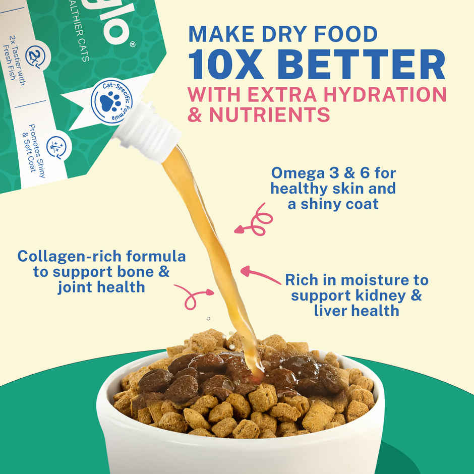 Smylo Homestyle Fish Bone Broth for Cats Hydrating Food Topper for Shiny Coat Strong Joints All Ages