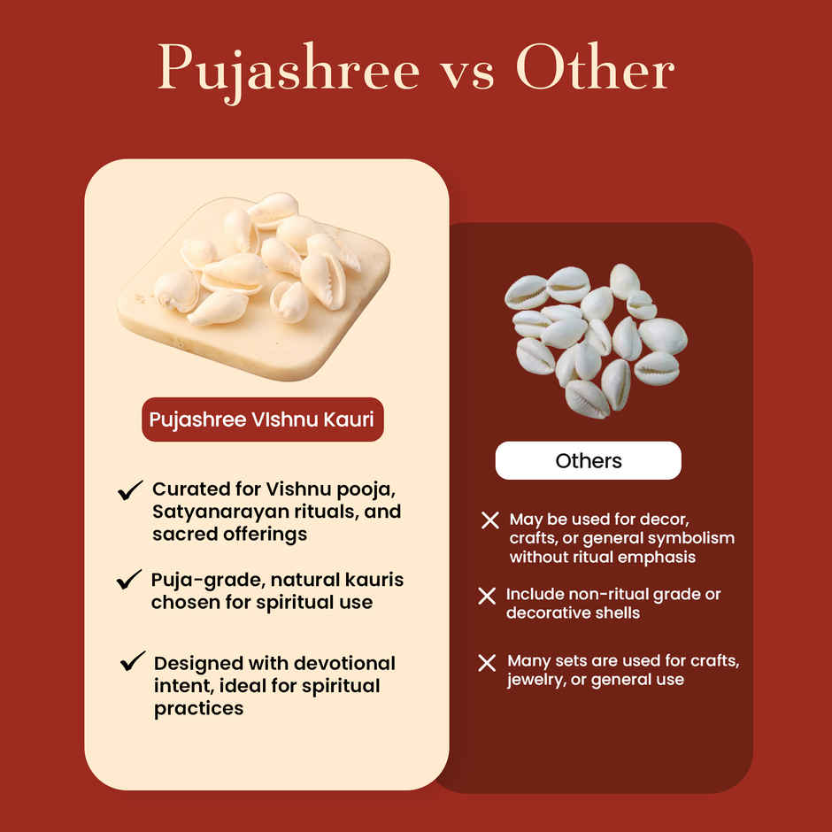 Vishnu Kauri | Symbol of Bhagwan Vishnu | Brings Spiritual Growth and Peace | Pujashree