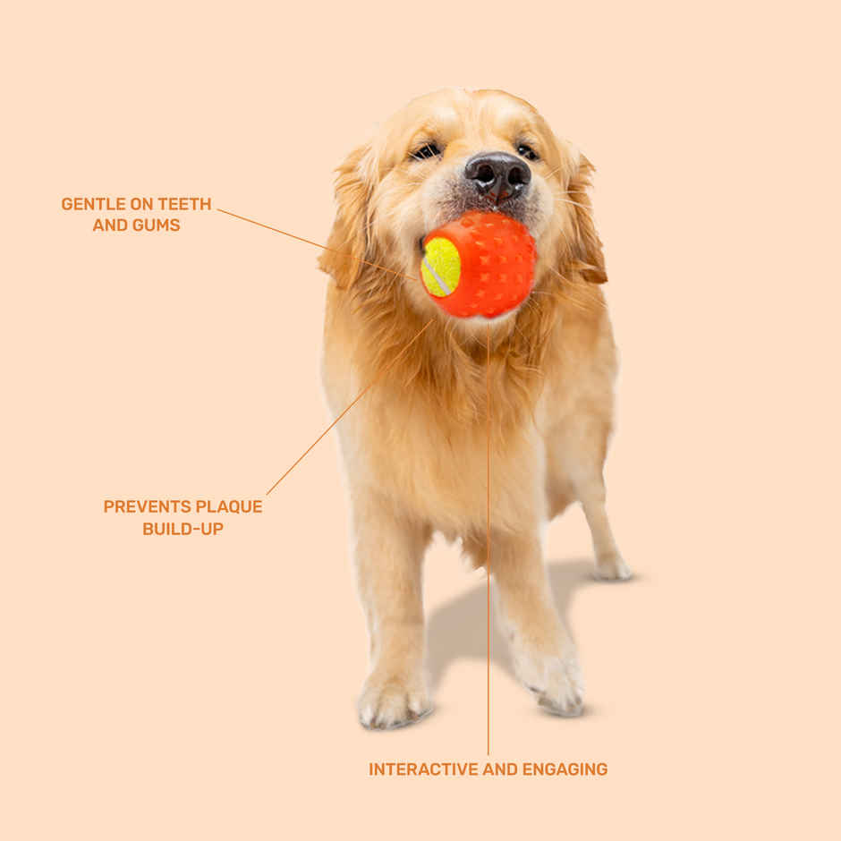 KIBBO Tennis Rubber Ball for Dogs & Cats